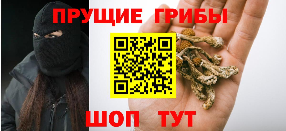Галлюциногенные грибы MAGIC MUSHROOMS  Галлюциногенные грибы Psilocybe  Коломна  Вход с VPN 